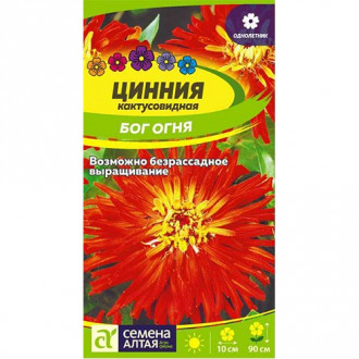Цинния Бог Огня Семена Алтая изображение 10