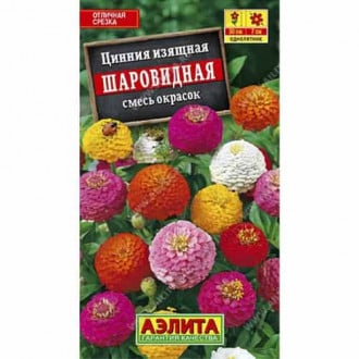 Цинния изящная Шаровидная, смесь окрасок Аэлита изображение 6