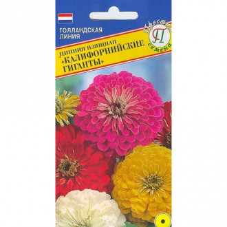 Цинния Калифорнийские гиганты, смесь окрасок Престиж изображение 5