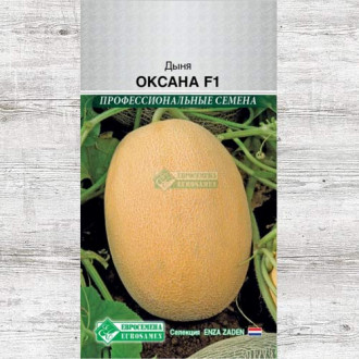Дыня Оксана F1 изображение 13