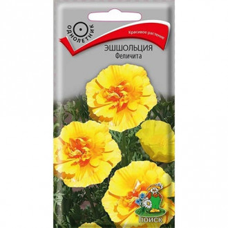 Эшшольция Феличита Поиск изображение 7