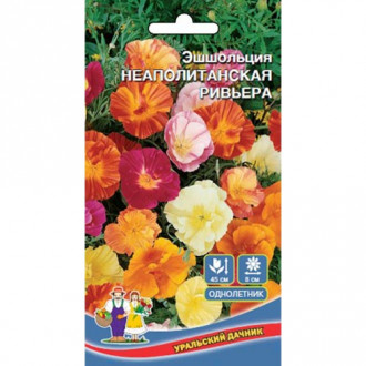 Эшшольция Неопалитанская Ривьера Уральский дачник изображение 12