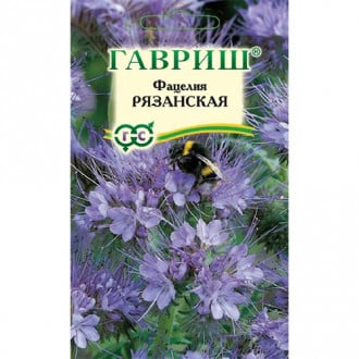 Фацелия Рязанская (сидерат) Гавриш изображение 2