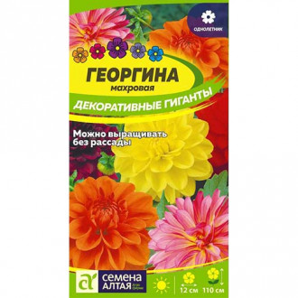 Георгина Декоративные гиганты, смесь окрасок Семена Алтая изображение 5