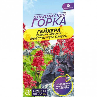 Гейхера кроваво-красная Семена Алтая изображение 2