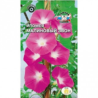 Ипомея Малиновый звон Седек изображение 15