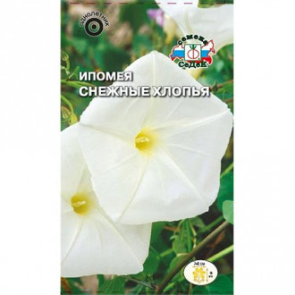 Ипомея Снежные хлопья Седек изображение 3
