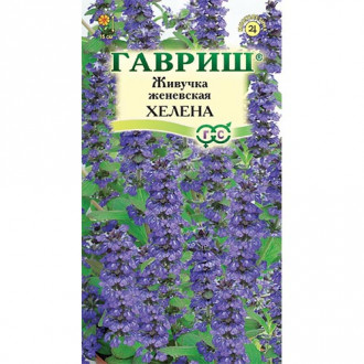 Живучка Хелена Гавриш изображение 5