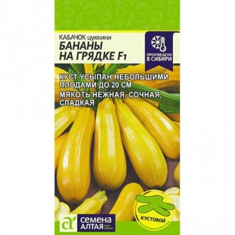 Кабачок Бананы на грядке F1 Семена Алтая изображение 6