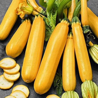 Кабачок Оранжевый Король Premium Seeds изображение 5