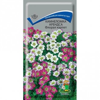 Камнеломка Арендса Флорал карпет Поиск изображение 12