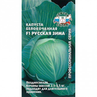 Капуста белокочанная Русская зима F1 Седек изображение 3