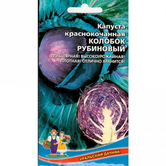 Капуста краснокочанная Колобок рубиновый Уральский дачник изображение 6