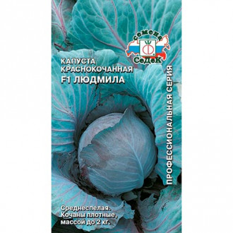 Капуста краснокочанная Людмила F1 Седек изображение 6