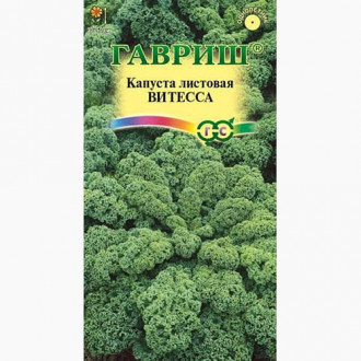 Капуста листовая (кале) Витесса Гавриш изображение 2