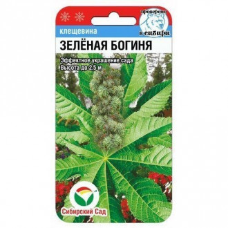 Клещевина Зеленая Богиня Сибирский сад изображение 6