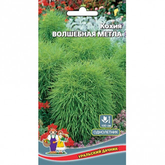 Кохия Волшебная метла Уральский дачник изображение 6