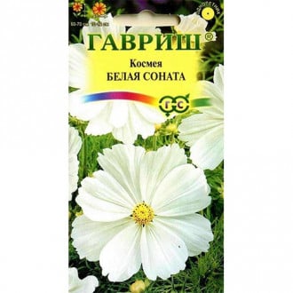 Космея Белая соната Гавриш изображение 6