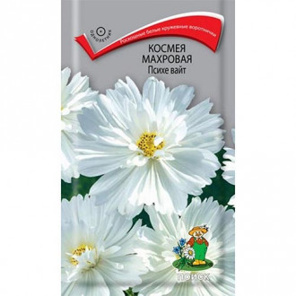 Космея Психе Вайт Поиск изображение 4