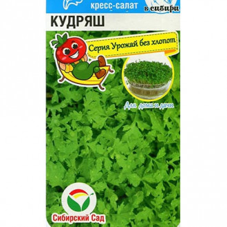 Кресс-салат Кудряш Сибирский сад изображение 2