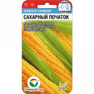 Кукуруза Сахарный початок Сибирский сад изображение 2