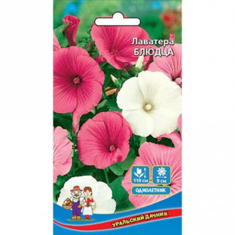 Лаватера Блюдца, смесь окрасок Уральский дачник изображение 9