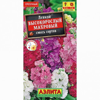 Левкой махровый Высокорослый, смесь окрасок Аэлита изображение 5
