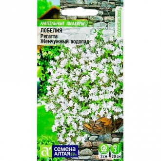 Лобелия ампельная Регатта Жемчужный Водопад Семена Алтая изображение 11