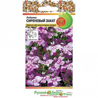 Лобелия Сиреневый закат НК изображение 8