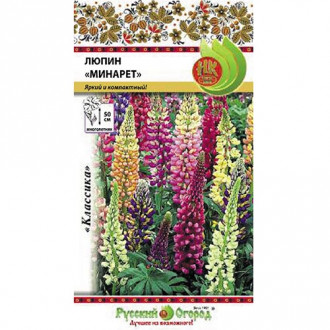 Люпин Минарет, смесь окрасок НК изображение 11