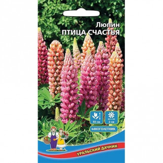 Люпин Птица счастья, смесь окрасок Уральский дачник изображение 11