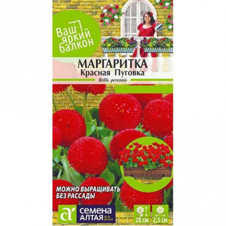 Маргаритка Красная Пуговка Семена Алтая изображение 12