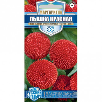 Маргаритка Пышка красная Гавриш изображение 4