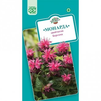 Монарда Бергама Гавриш изображение 7