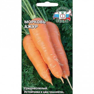 Морковь Ажур Седек изображение 6