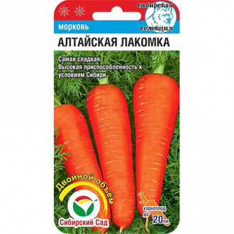 Морковь Алтайская лакомка Сибирский сад изображение 3
