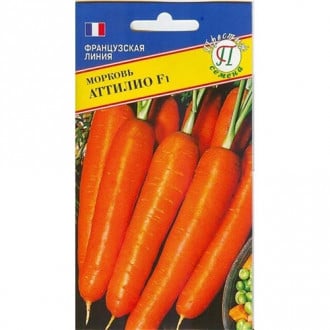 Морковь Аттилио Престиж изображение 3