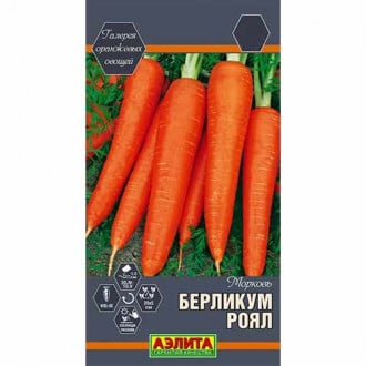Морковь Берликум роял Аэлита изображение 2