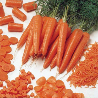 Морковь Флайвей F1 Русский огород НК изображение 12