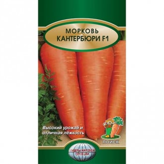Морковь Кантербюри F1 Поиск изображение 5