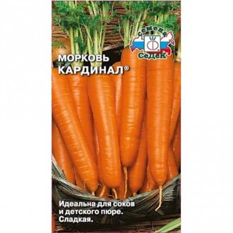 Морковь Кардинал Седек изображение 6
