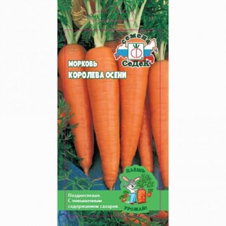 Морковь Королева осени Седек изображение 2