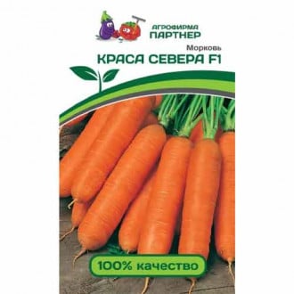 Морковь Краса Севера F1 Партнер изображение 1