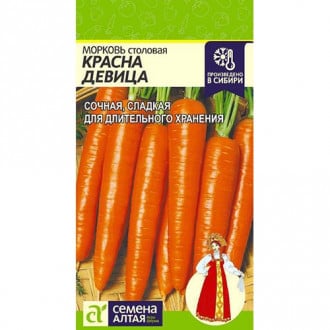 Морковь Красна девица Семена Алтая изображение 2