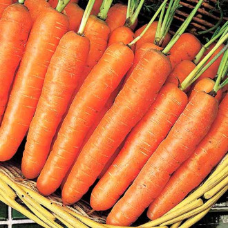 Морковь Крестьянка Седек изображение 1