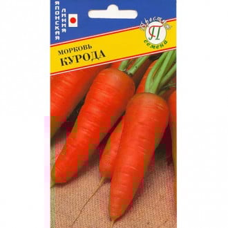 Морковь Курода-шантенэ Престиж изображение 8