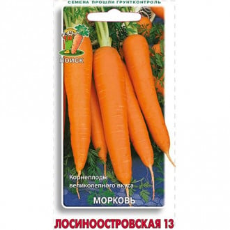 Морковь Лосиноостровская 13 Поиск изображение 4
