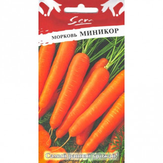 Морковь Миникор НК изображение 8
