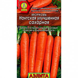 Морковь Нантская улучшенная сахарная Аэлита изображение 5