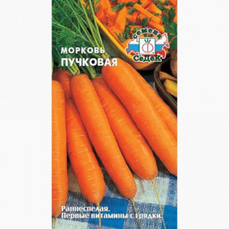 Морковь Пучковая  Седек изображение 6